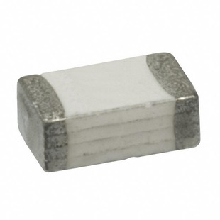 1206SFS100F/63-2 Image