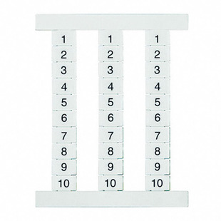 1773330021 Image